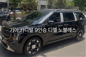 기아 카니발 9인승 디젤 노블레스 출고