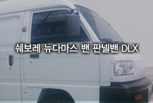 쉐보레 뉴다마스 밴 2인승 판넬밴 DLX 출고