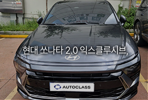 현대 쏘나타 디 엣지 2.0 익스클루시브