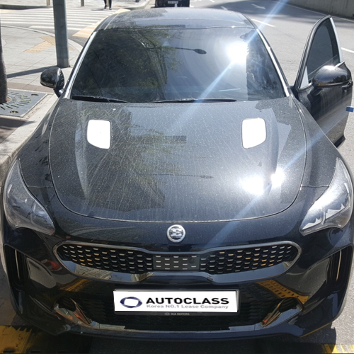 기아 스팅어 3.3 가솔린 터보 GT 출고